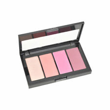 Blusher Plalet Master Color & Shiplighting Kit - Pink10-378653